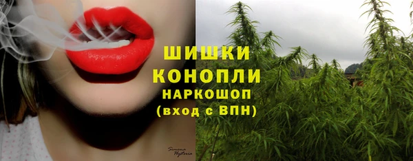 ГАЛЛЮЦИНОГЕННЫЕ ГРИБЫ Алексин