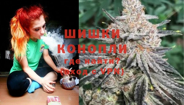 ГАЛЛЮЦИНОГЕННЫЕ ГРИБЫ Алексин