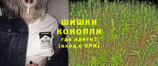 индика Протвино