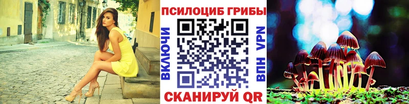 ОМГ ОМГ зеркало  Приволжск  Галлюциногенные грибы прущие грибы 